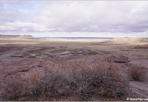 Petrified Forest National Park - Arizona 130