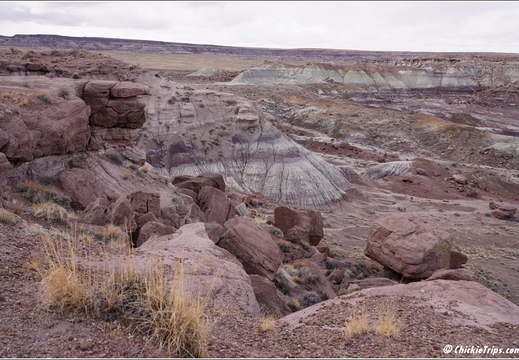 Petrified Forest National Park - Arizona 132