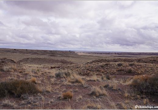 Petrified Forest National Park - Arizona 133