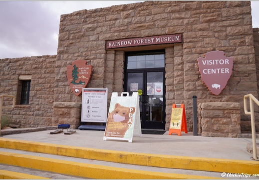 Petrified Forest National Park - Arizona 167