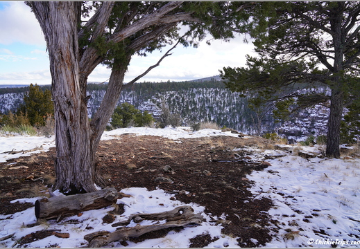 Walnut Canyon National Monument - Arizona 010