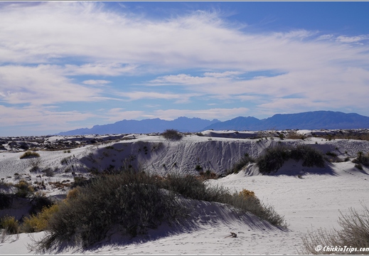 White Sands National Park - New Mexico 015