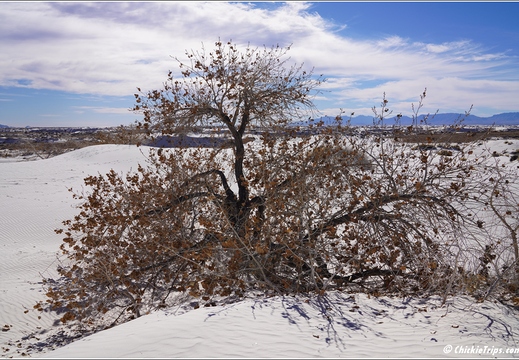 White Sands National Park - New Mexico 018