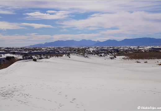 White Sands National Park - New Mexico 020