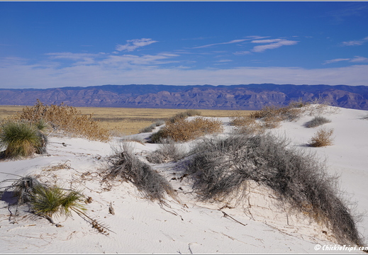 White Sands National Park - New Mexico 021