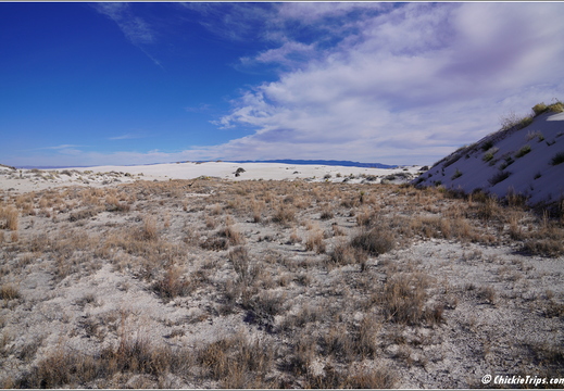 White Sands National Park - New Mexico 029
