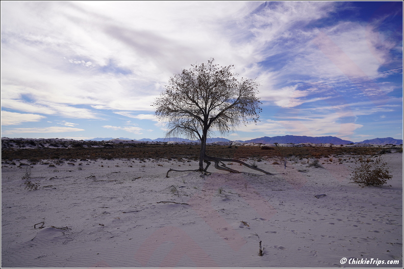 White_Sands_National_Park_-_New_Mexico_037.jpg