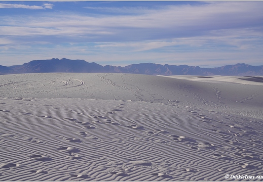 White Sands National Park - New Mexico 056