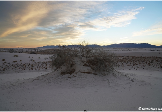 White Sands National Park - New Mexico 066