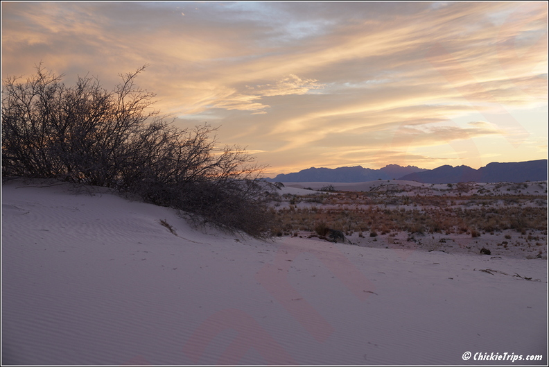 White_Sands_National_Park_-_New_Mexico_069.jpg