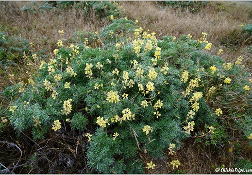 Day 1 - California Point Reyes National Seashore 01