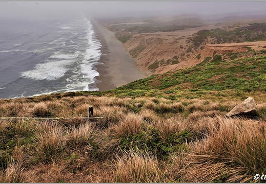 Day 1 - California Point Reyes National Seashore 06