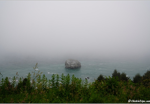 Day 2 - California Redwood National Park 93