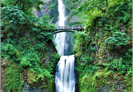 Day 4 - Oregon Multnomah Falls 08