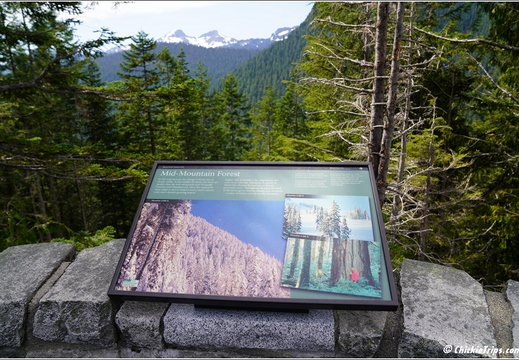 Day 4 - Washington Mount Rainier National Park 06