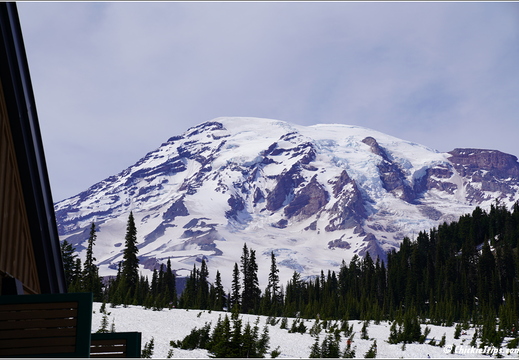 Day 4 - Washington Mount Rainier National Park 14