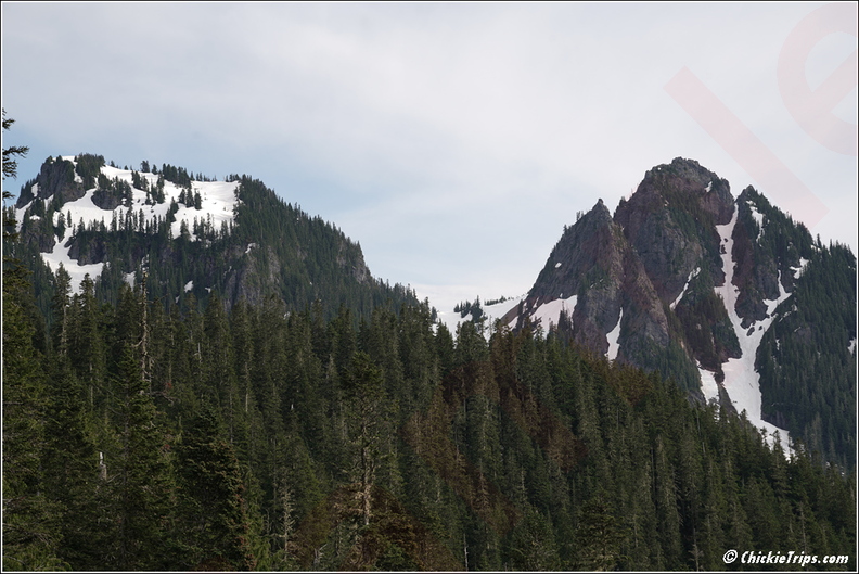 Day_4_-_Washington_Mount_Rainier_National_Park_29.jpg