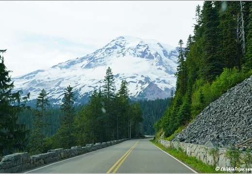Day 4 - Washington Mount Rainier National Park 31