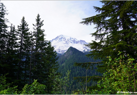 Day 4 - Washington Mount Rainier National Park 41