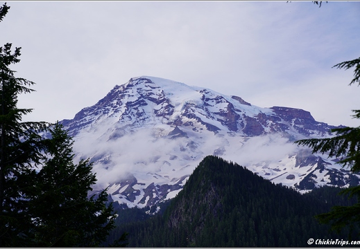 Day 4 - Washington Mount Rainier National Park 42