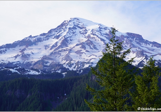 Day 4 - Washington Mount Rainier National Park 46
