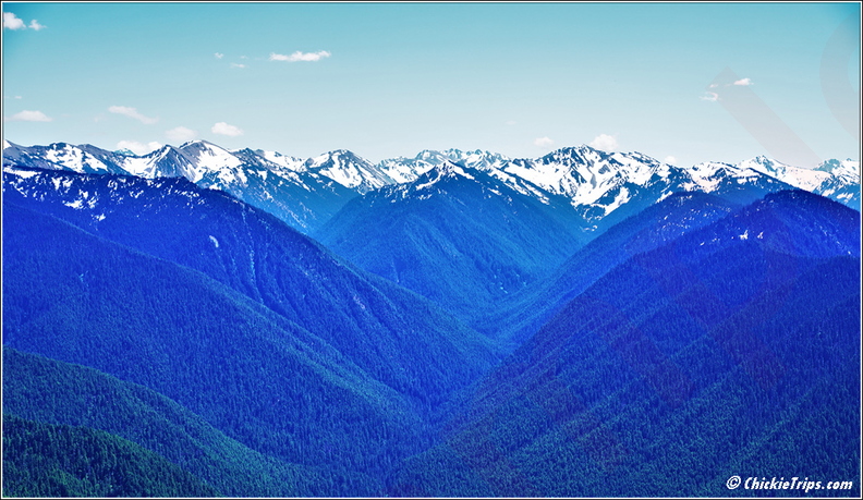 Day_5_-_Washington_Olympic_National_Park_19.jpg
