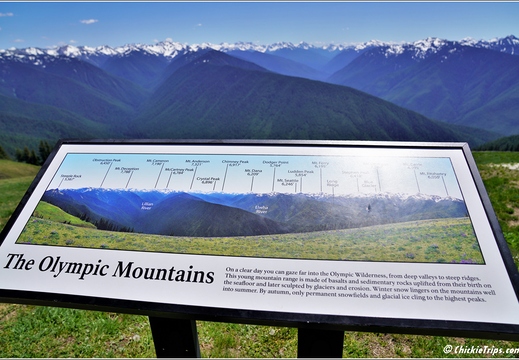 Day 5 - Washington Olympic National Park 20