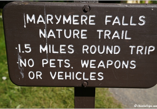 Day 5 - Washington Olympic National Park Marymere Falls 04