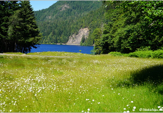 Day 5 - Washington Olympic National Park Marymere Falls 05