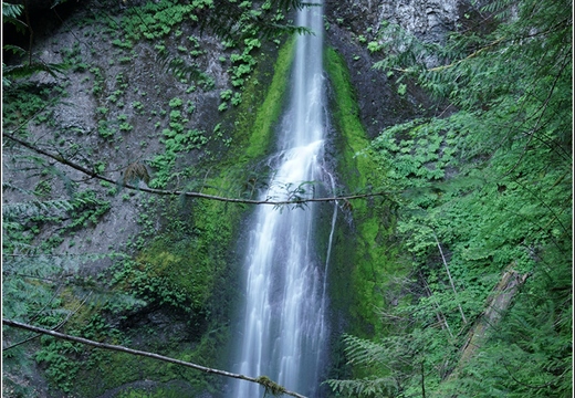 Day 5 - Washington Olympic National Park Marymere Falls 26