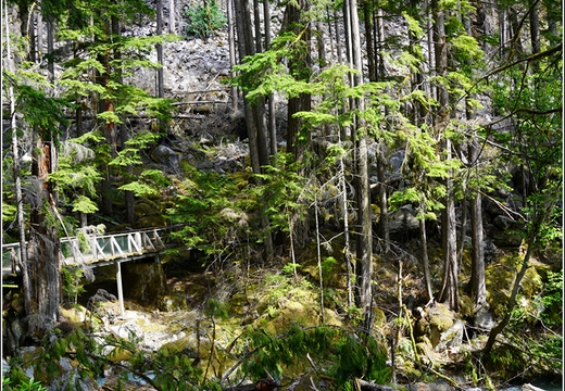 Day 6 - Washington North Cascades National Park 38