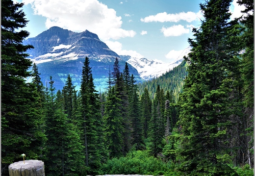 Jackson Glacier 03