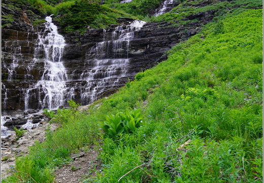 Logan Pass 03