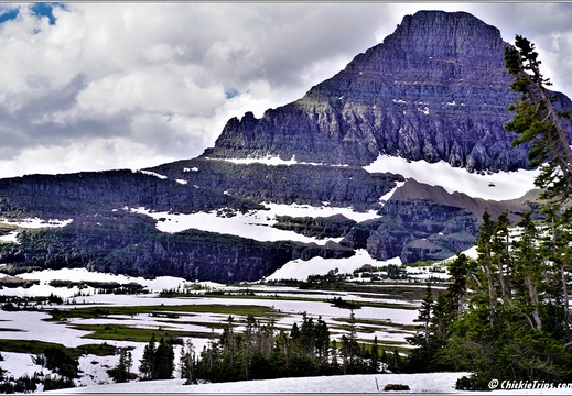 Logan Pass 14