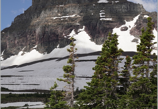 Logan Pass 38