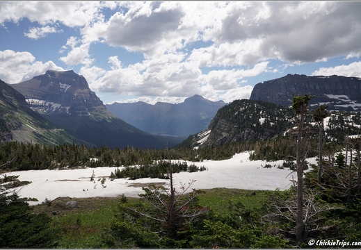 Logan Pass 45
