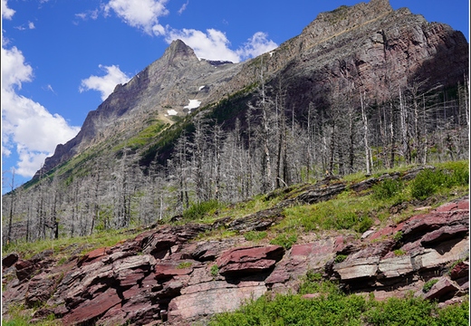 Saint Mary Lake - Baring Falls 04