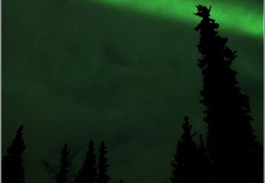 Aurora Borealis 002