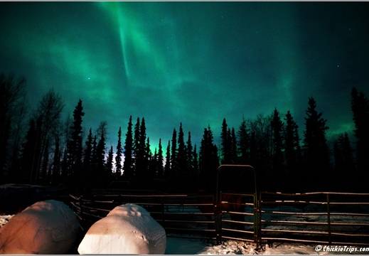 Aurora Borealis 011