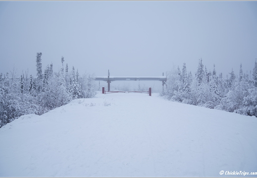 Dalton Highway - Artic Circle - Yukon River 030