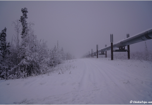 Dalton Highway - Artic Circle - Yukon River 037