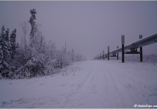 Dalton Highway - Artic Circle - Yukon River 041