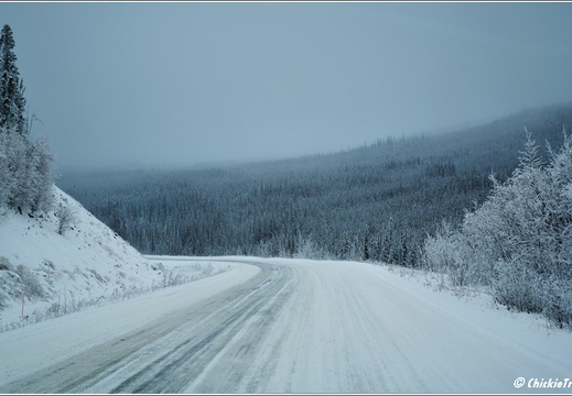 Dalton Highway - Artic Circle - Yukon River 043