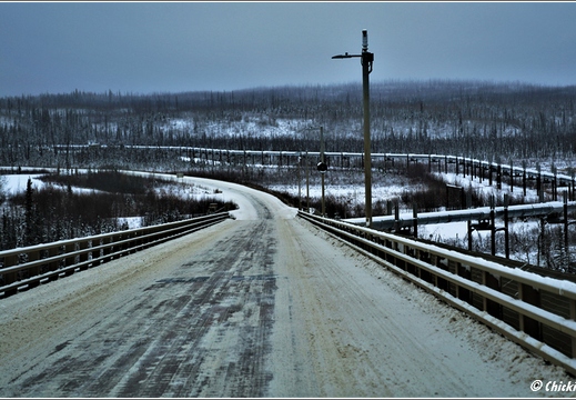 Dalton Highway - Artic Circle - Yukon River 051