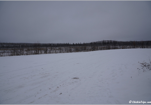 Dalton Highway - Artic Circle - Yukon River 053