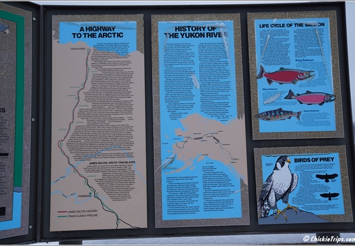 Dalton Highway - Artic Circle - Yukon River 058
