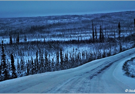 Dalton Highway - Artic Circle - Yukon River 070
