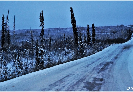 Dalton Highway - Artic Circle - Yukon River 071