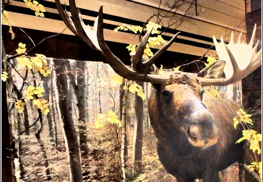 Fairbanks 004