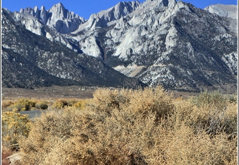 Joshua Tree - Sequioa - Muir - Redwood - Mojave 018